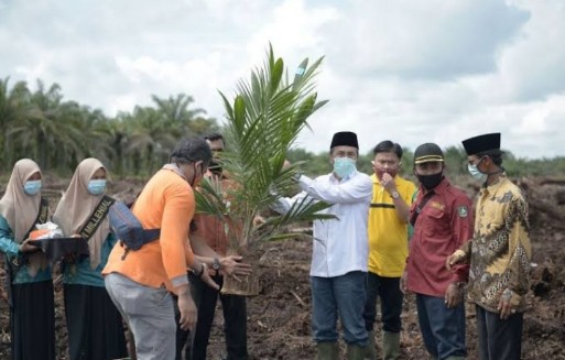 Gubernur Riau Terus Perjuangkan Harga TBS Sawit