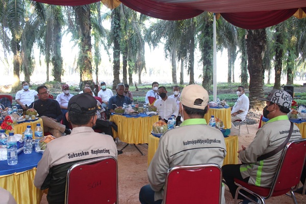 Sukses Bangun Kemitraan Petani, Dirut Holding Perkebunan Ingin Nasionalisasi Pola PTPN V
