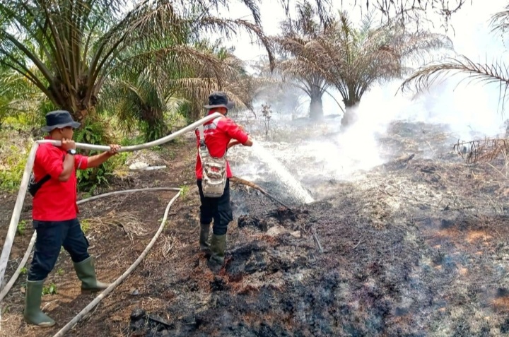 Polisi, TNI Bersama Personil RAPP Padamkan Karhutla di Desa Sering    