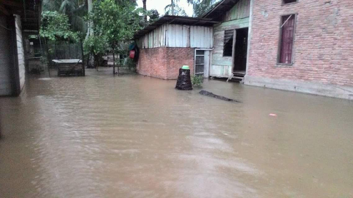 Puluhan Rumah Warga di Surau Tinggi Rohul Terendam Banjir