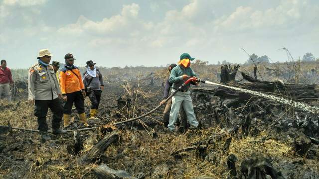 Tinjau Kebakaran Hutan, Bupati Harris Berjibaku Padamkan Api