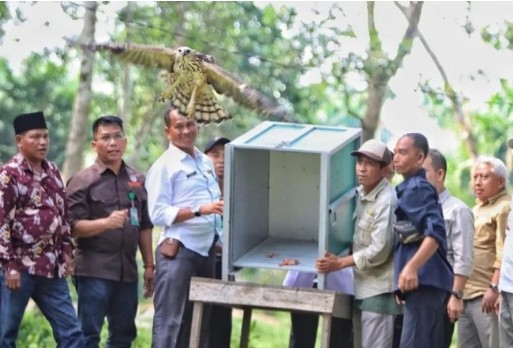 PTPN V Dukung Penguatan Desa Wisata Buluh Cina