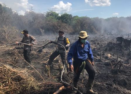 Kebakaran Lahan di Rohil Milik Pendatang Dari Sumut 