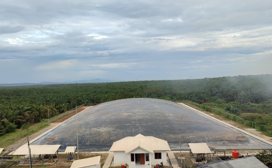 Akselerasi Energi Hijau, PTBg Sei Tapung Regional 3 PTPN IV Serap 37.256 Ton Emisi Karbon