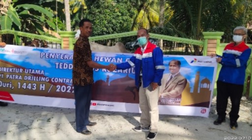 PT PDC Serahkan Satu Ekor Sapi Kurban ke Masjid Al-Muqorrobin.