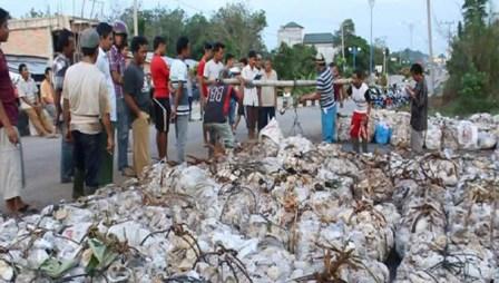 Antisipasi Kecurangan, Kades Rambah Muda Sediakan Timbangan Bagi Petani Karet