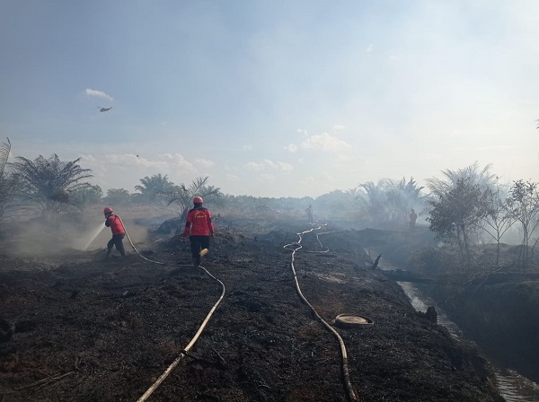 Manggala Agni Daops Pekanbaru Berjibaku Padamkan Beberapa Titik Karhutla