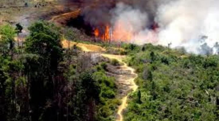 Memasuki Musim Kemarau, Bupati Ingatkan Camat dan Penghulu Antisipasi Karlahut
