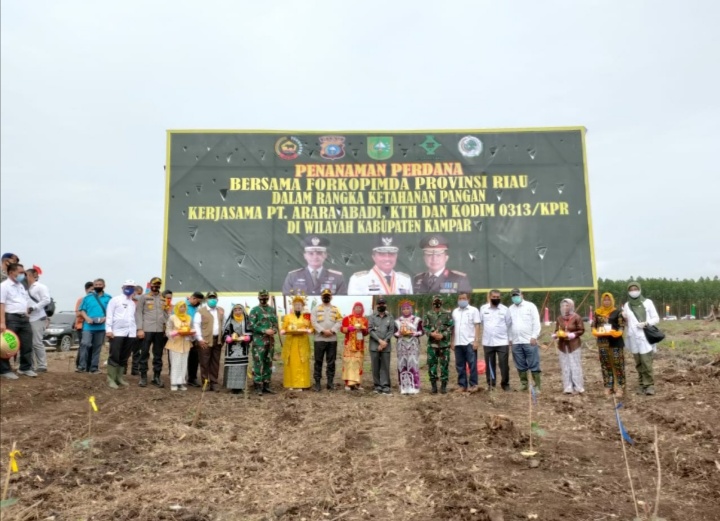Gubri Bersama Forkopimda Lakukan Penanaman Jagung dilahan Konsesi PT. Arara Abadi