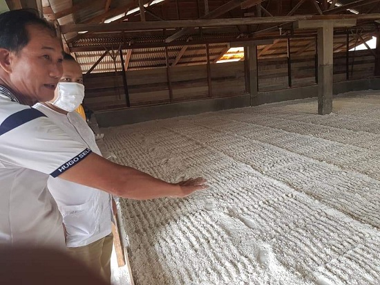 Pastikan Keberlangsungan Usaha, Bupati Irwan Tinjau Kilang Sagu 